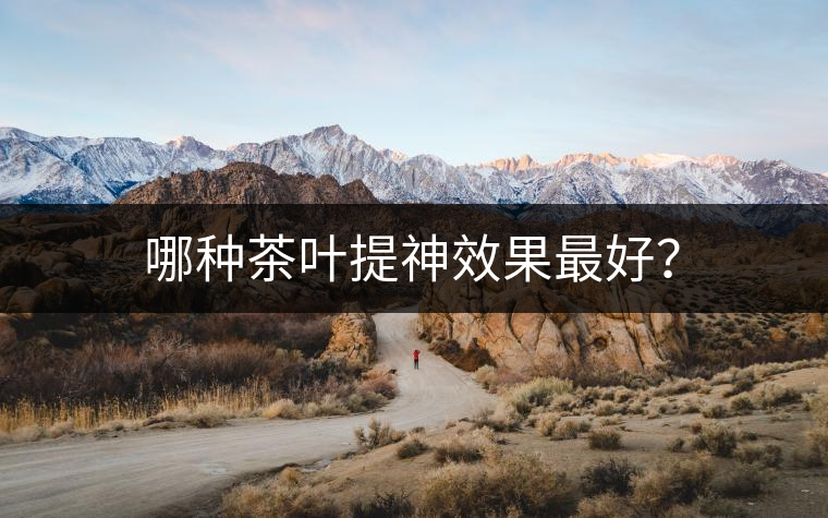 哪種茶葉提神效果最好？