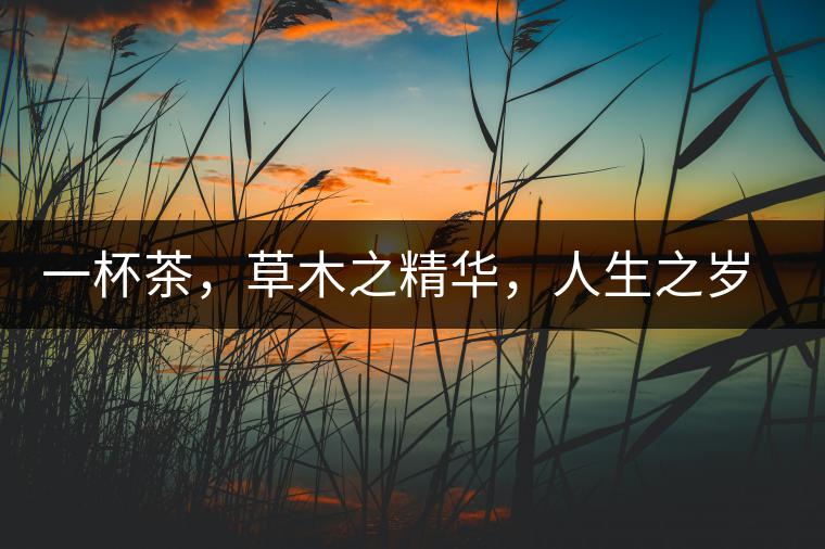 一杯茶，草木之精華，人生之歲月