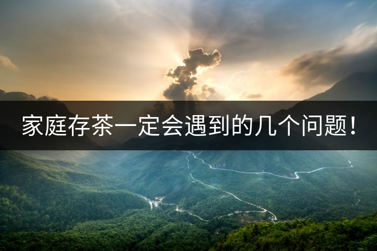 家庭存茶一定會(huì)遇到的幾個(gè)問題！