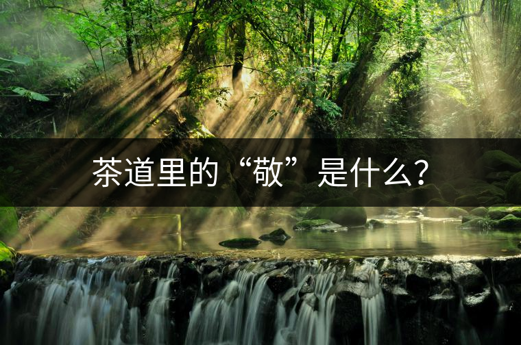 茶道里的“敬”是什么？