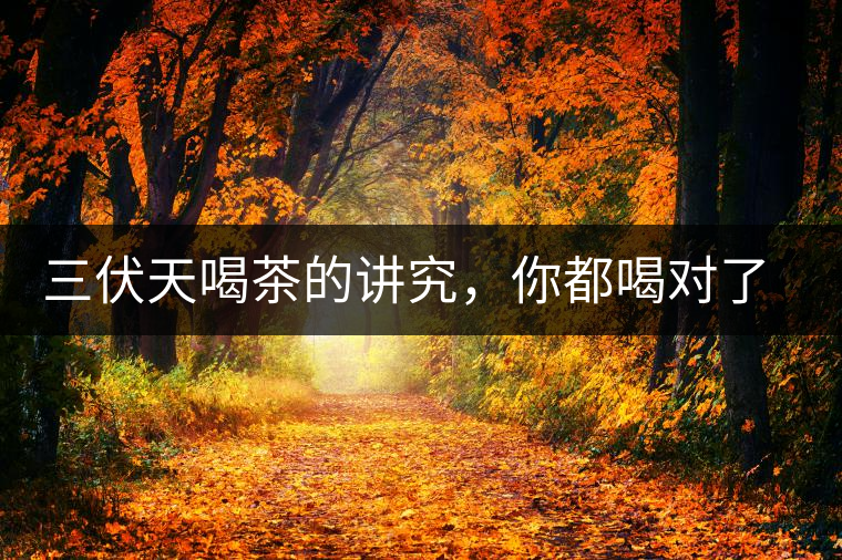 三伏天喝茶的講究，你都喝對了嗎？