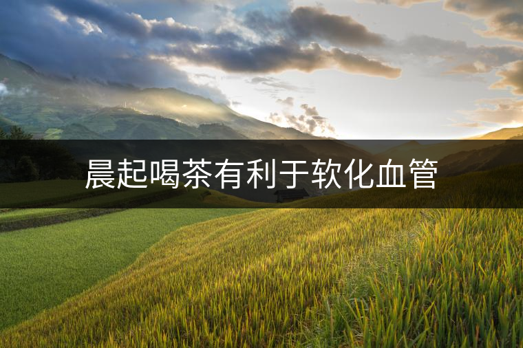晨起喝茶有利于軟化血管 晨起喝茶有利于軟化血管