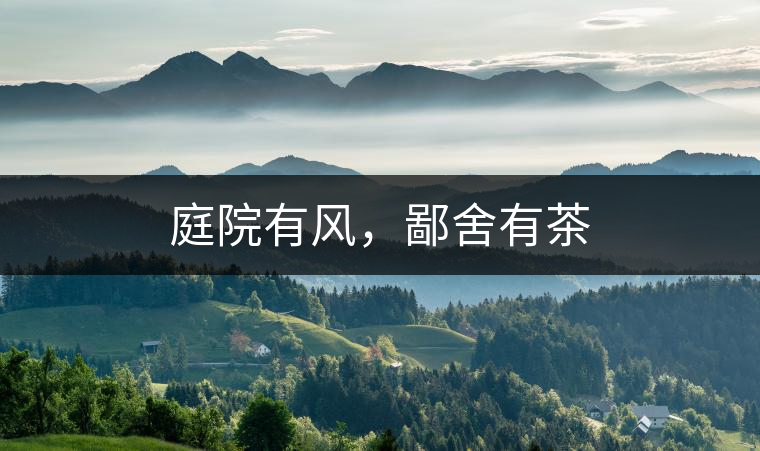 庭院有風，鄙舍有茶