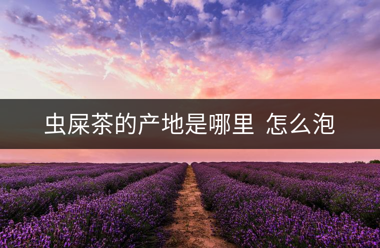 蟲屎茶的產(chǎn)地是哪里 怎么泡 蟲屎茶的產(chǎn)地是哪里 怎么泡