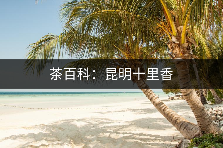 茶百科：昆明十里香