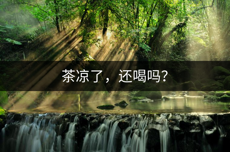 茶涼了，還喝嗎？