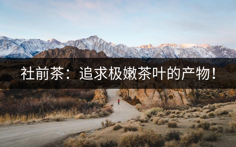 社前茶：追求極嫩茶葉的產(chǎn)物！