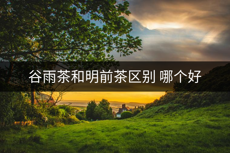 谷雨茶和明前茶區(qū)別 哪個好 谷雨茶和明前茶區(qū)別 哪個好