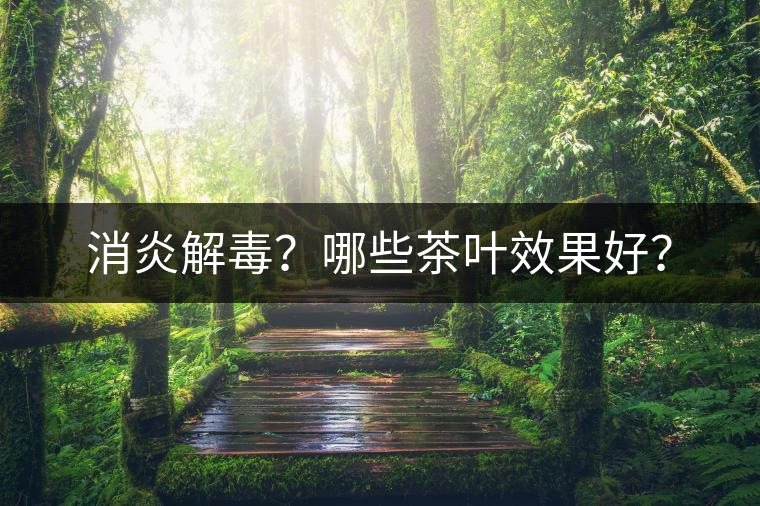 消炎解毒？哪些茶葉效果好？