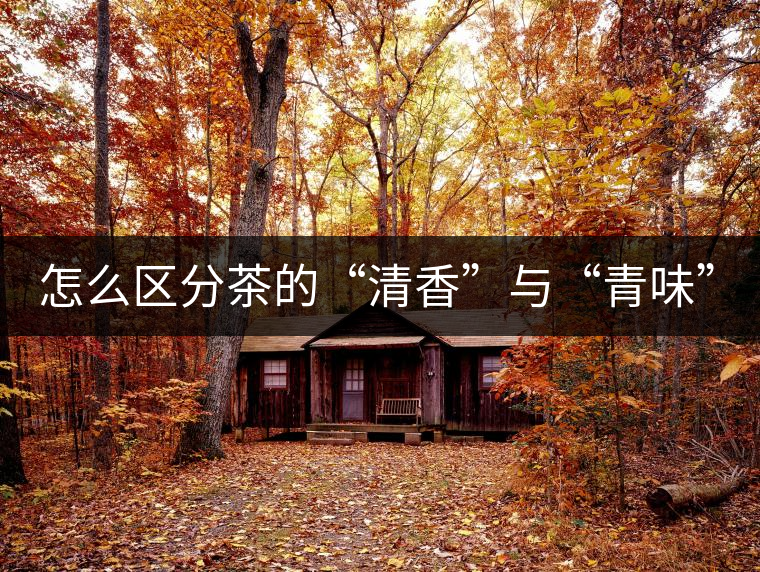 怎么區(qū)分茶的“清香”與“青味”？