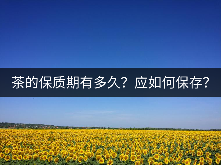 茶的保質(zhì)期有多久？應(yīng)如何保存？