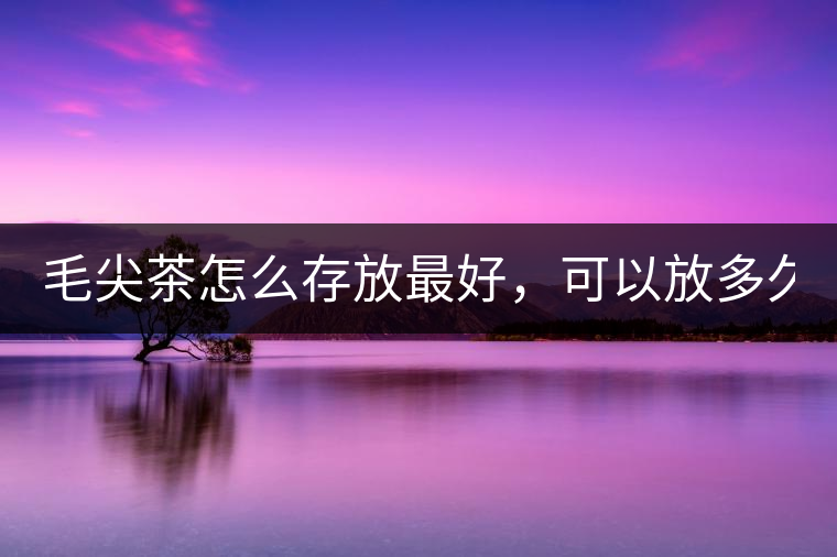 毛尖茶怎么存放最好，可以放多久？