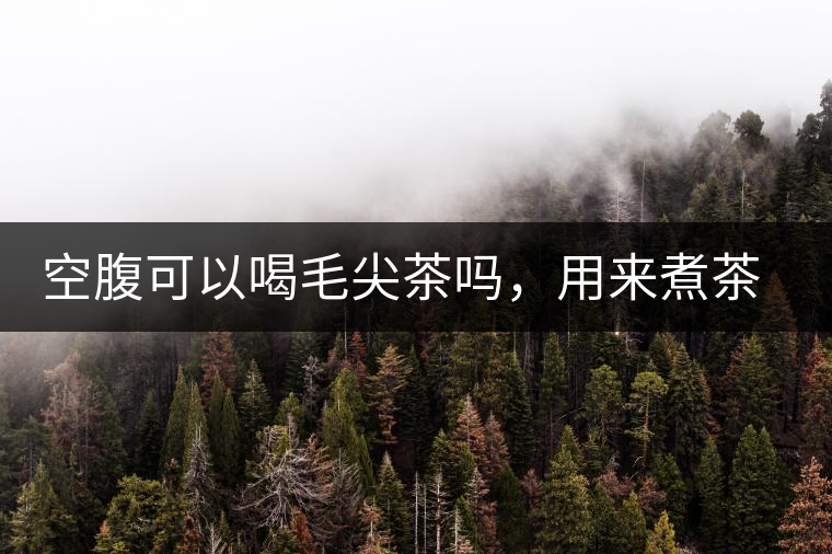 空腹可以喝毛尖茶嗎，用來(lái)煮茶葉蛋怎么樣？
