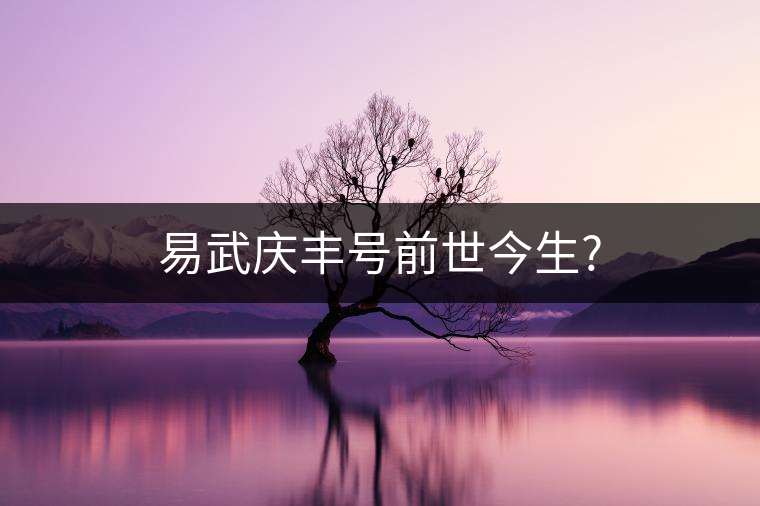 易武慶豐號前世今生? 易武慶豐號前世今生?