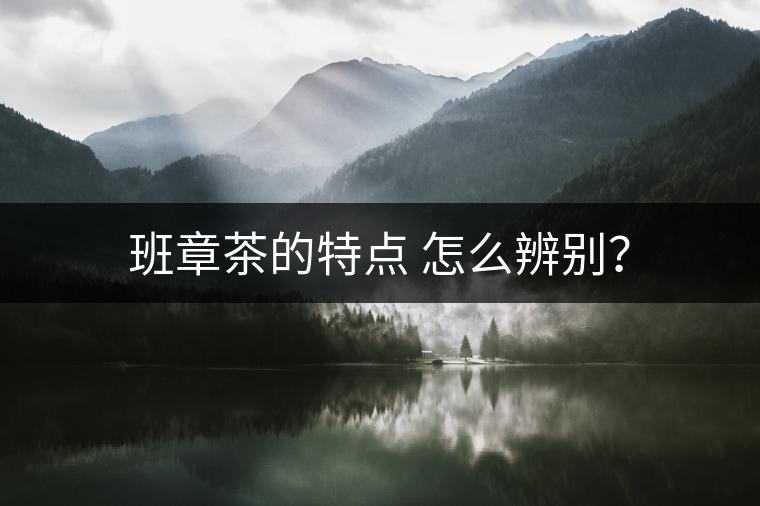 班章茶的特點(diǎn) 怎么辨別？