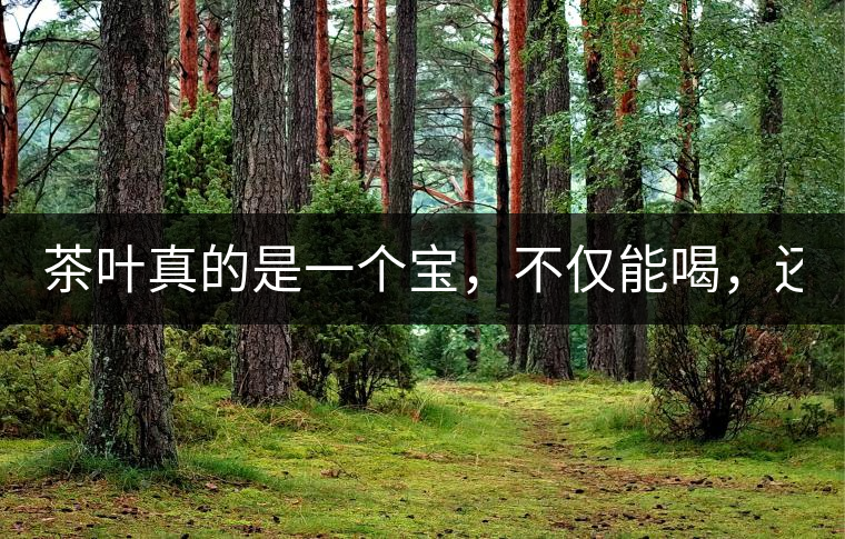 茶葉真的是一個(gè)寶，不僅能喝，還能用！