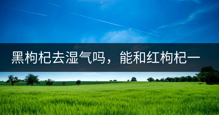 黑枸杞去濕氣嗎，能和紅枸杞一起泡嗎？