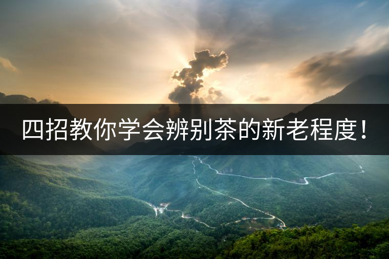 四招教你學會辨別茶的新老程度！