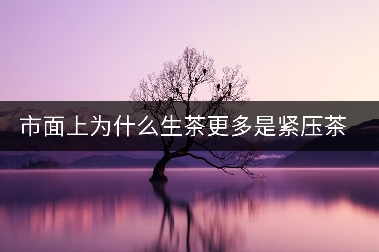 市面上為什么生茶更多是緊壓茶而非散茶？