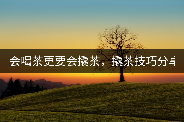 會(huì)喝茶更要會(huì)撬茶，撬茶技巧分享！