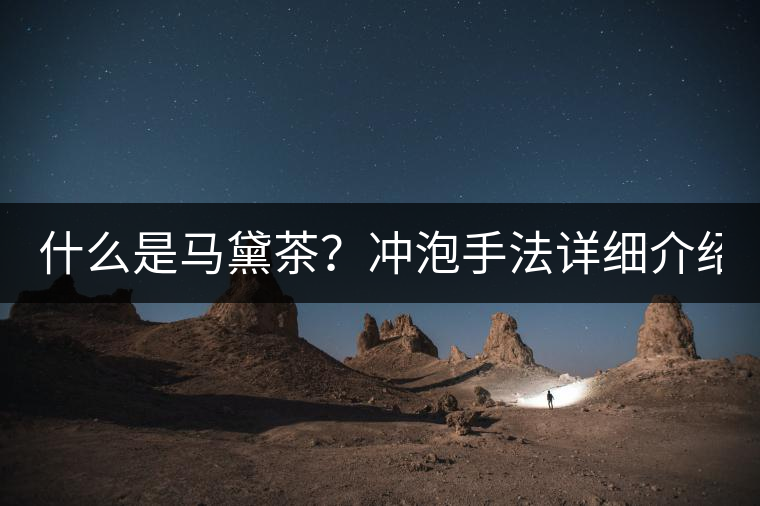 什么是馬黛茶？沖泡手法詳細介紹！