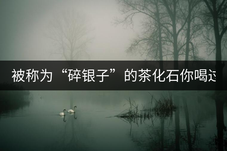 被稱為“碎銀子”的茶化石你喝過(guò)嗎？