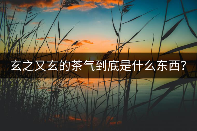 玄之又玄的茶氣到底是什么東西？