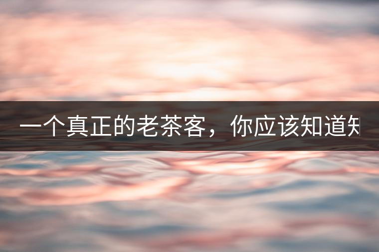 一個(gè)真正的老茶客，你應(yīng)該知道知識(shí)點(diǎn)！