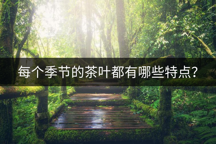 每個(gè)季節(jié)的茶葉都有哪些特點(diǎn)？