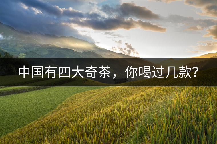 中國有四大奇茶，你喝過幾款？