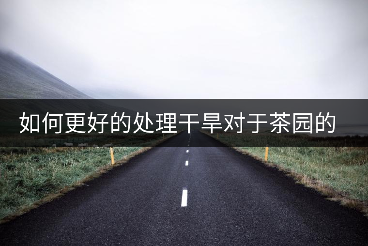 如何更好的處理干旱對于茶園的影響？