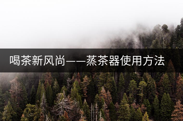 喝茶新風(fēng)尚——蒸茶器使用方法介紹 喝茶新風(fēng)尚——蒸茶器使用方法介紹
