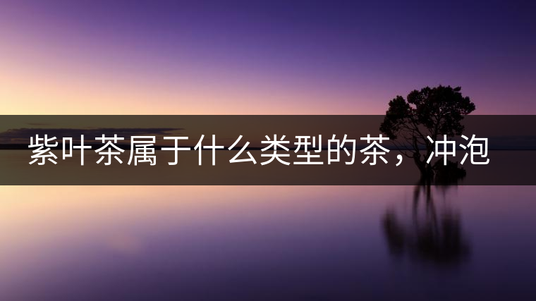 紫葉茶屬于什么類型的茶，沖泡需要注意什么？