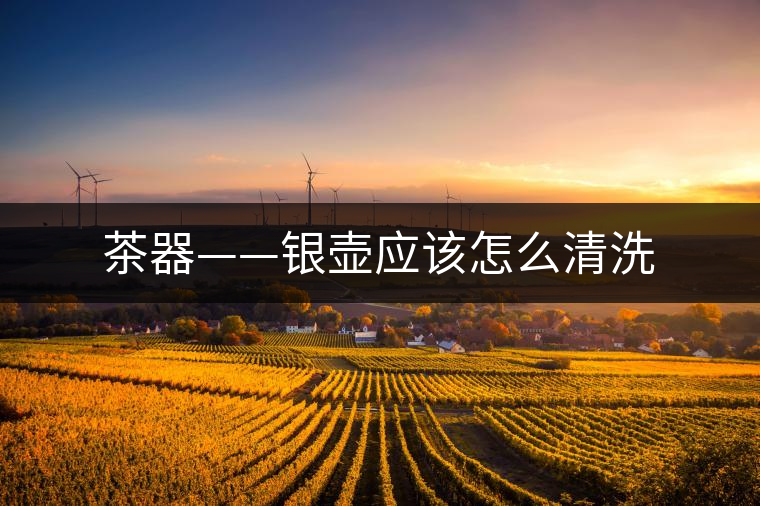 茶器——銀壺應(yīng)該怎么清洗