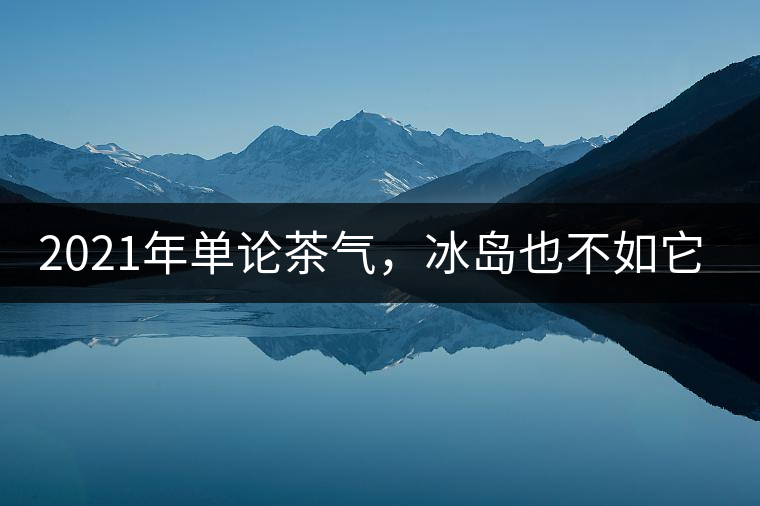 2021年單論茶氣，冰島也不如它-磨烈古樹秋