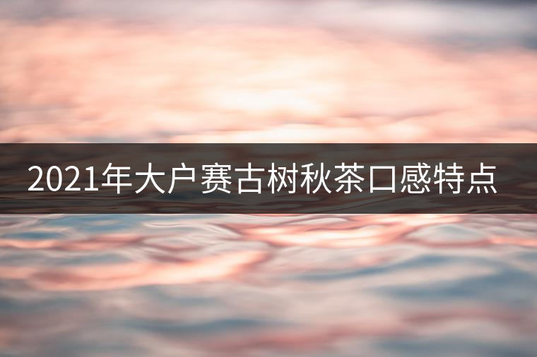 2021年大戶賽古樹秋茶口感特點(diǎn)? 2021年大戶賽古樹秋茶口感特點(diǎn)?