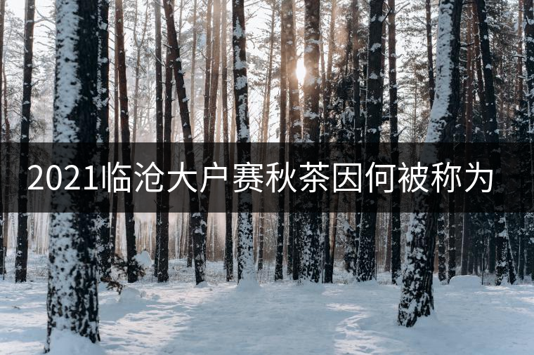 2021臨滄大戶賽秋茶因何被稱為潛力股？