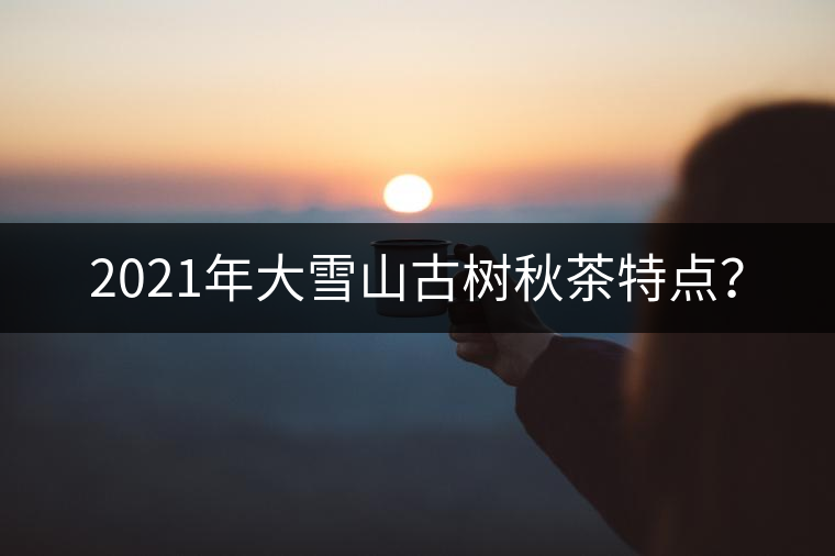 2021年大雪山古樹秋茶特點(diǎn)？