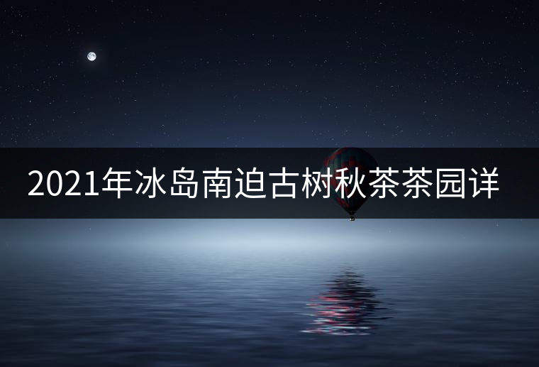2021年冰島南迫古樹秋茶茶園詳解！