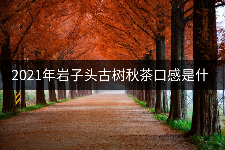 2021年巖子頭古樹秋茶口感是什么？
