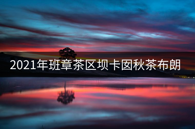 2021年班章茶區(qū)壩卡囡秋茶布朗茶系中的甜茶類！