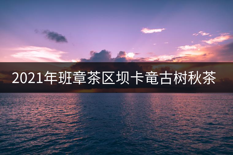 2021年班章茶區(qū)壩卡竜古樹秋茶多少錢一公斤？