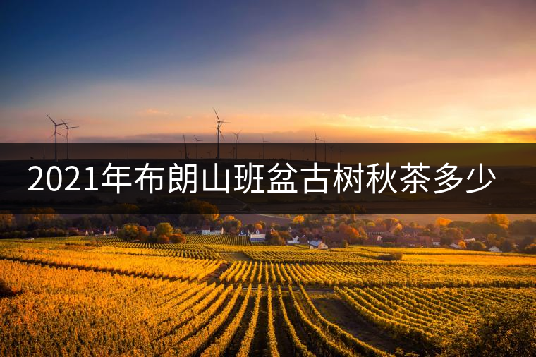 2021年布朗山班盆古樹秋茶多少錢一公斤？