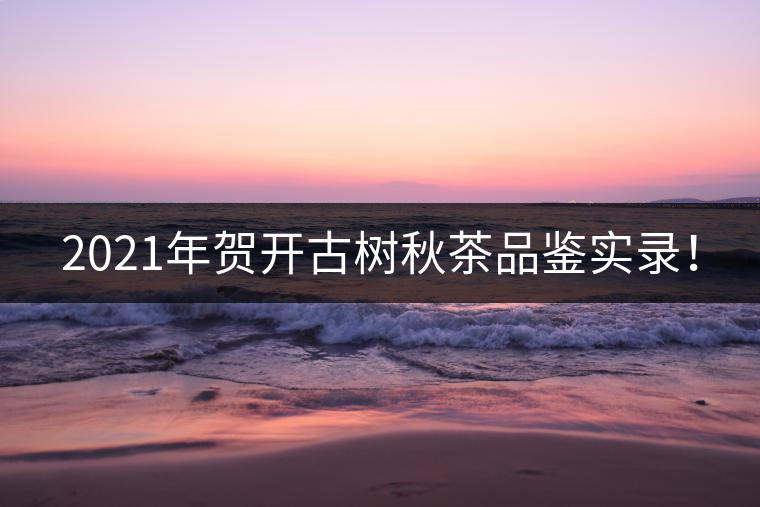 2021年賀開古樹秋茶品鑒實(shí)錄！
