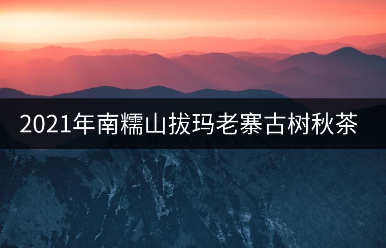 2021年南糯山拔瑪老寨古樹秋茶價(jià)格？
