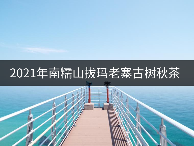 2021年南糯山拔瑪老寨古樹秋茶多少錢一公斤? 2021年南糯山拔瑪老寨古樹秋茶多少錢一公斤?