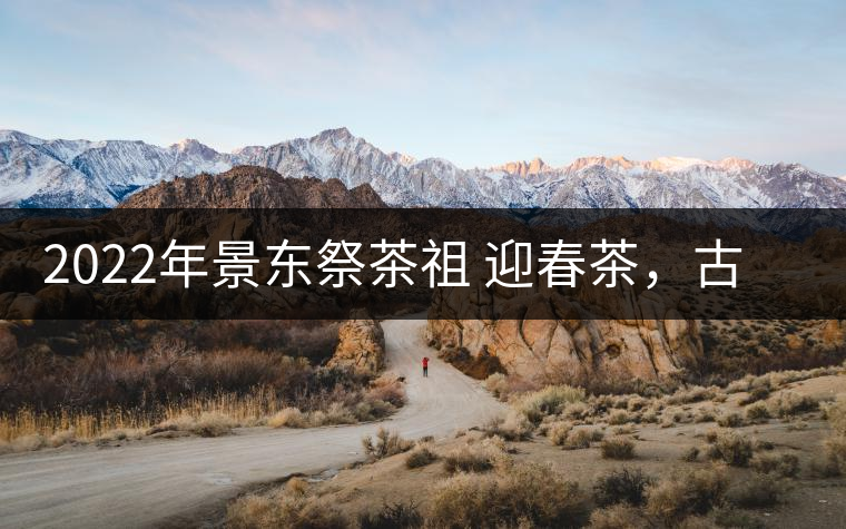 2022年景東祭茶祖 迎春茶，古樹春茶多少錢一公斤？