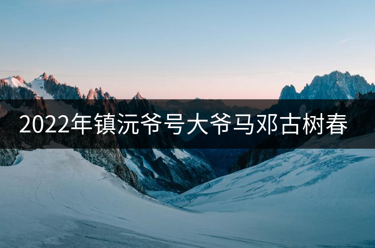 2022年鎮(zhèn)沅爺號(hào)大爺馬鄧古樹(shù)春茶特點(diǎn)？