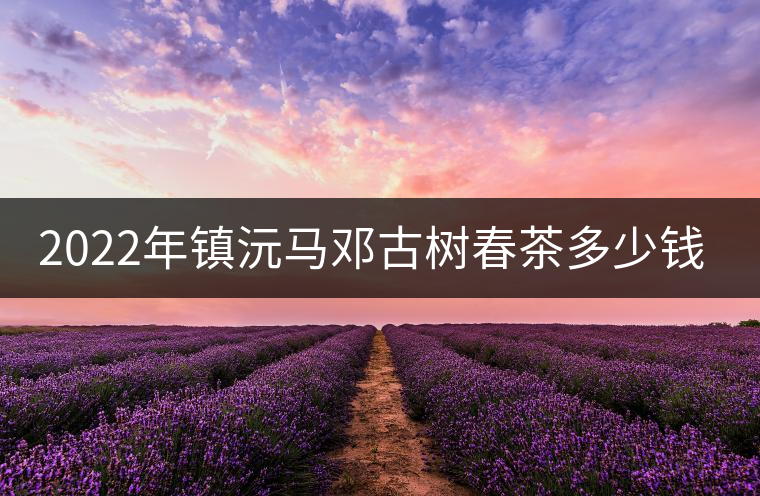 2022年鎮(zhèn)沅馬鄧古樹春茶多少錢一公斤? 2022年鎮(zhèn)沅馬鄧古樹春茶多少錢一公斤?