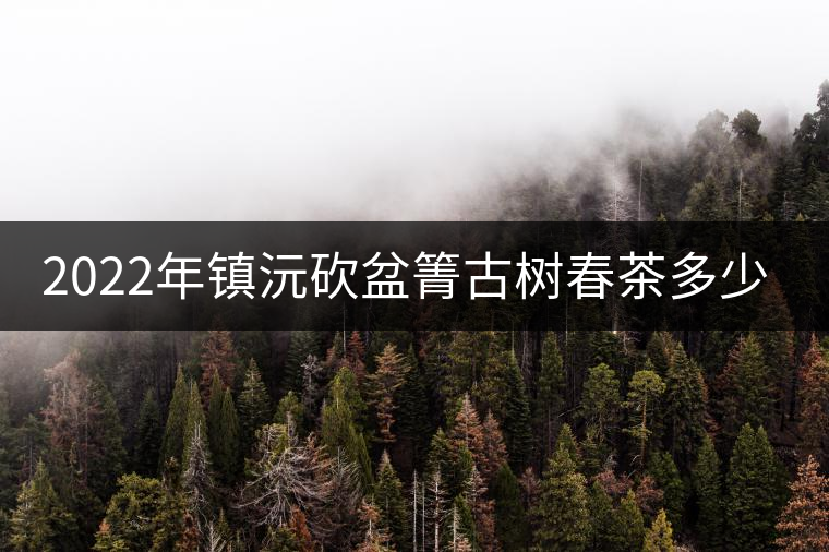 2022年鎮(zhèn)沅砍盆箐古樹春茶多少錢一公斤？